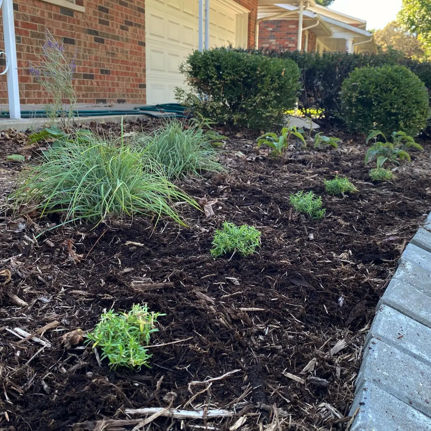 Freshly planted perennial bed with new mulch at a brick home
